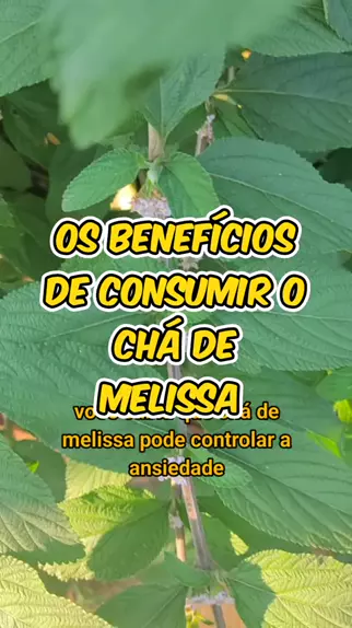 Fernanda Santos Moreira xfcqj207 . udio original criado por Fernanda Santos Moreira. os benef cios de consumir ch de melissa topz dica receitas