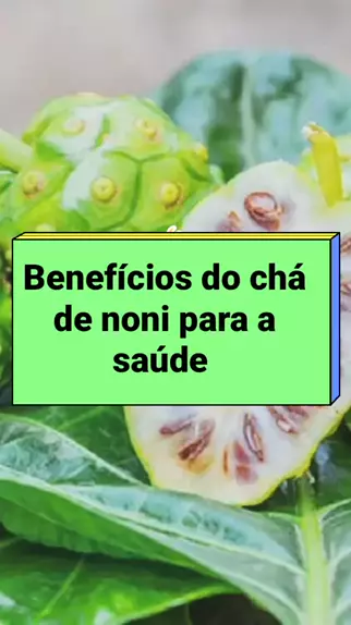 cura pelas plantas LucasMr . Light Symbolism. listadafazenda parabenssaopaulo abobrinha frutas planta o Benef cios do ch de noni para sa de