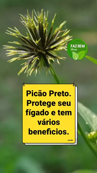 Faz Bem Dicas fazbemdicas1 . udio original criado por Faz Bem Dicas