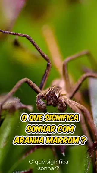 O que Significa SONHAR com ARANHA?