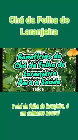 Aldenira Campos AldeniraCampos . udio original criado por Aldenira Campos. Ch da Folha de Laranjeira O ch da folha de laranjeira ajuda a um sono profundo e ainda aux lia no combate da ansiedade