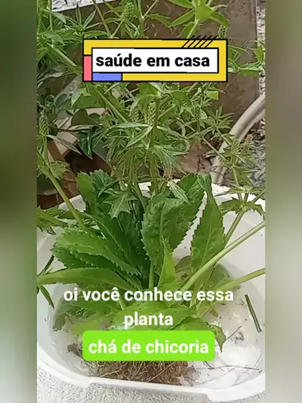 FRanciscacostaa usefran . udio original criado por FRanciscacostaa. Sa deEmCasa