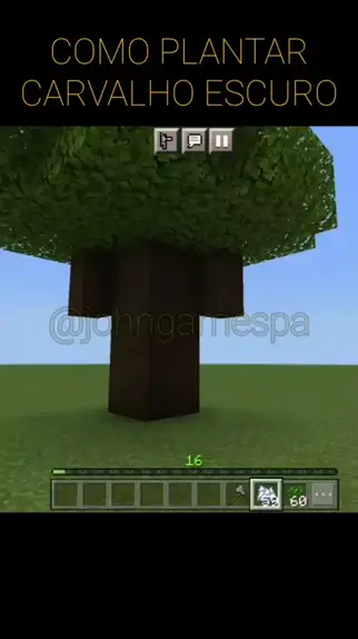 Plantação Correta e Automática no Minecraft #minecraft