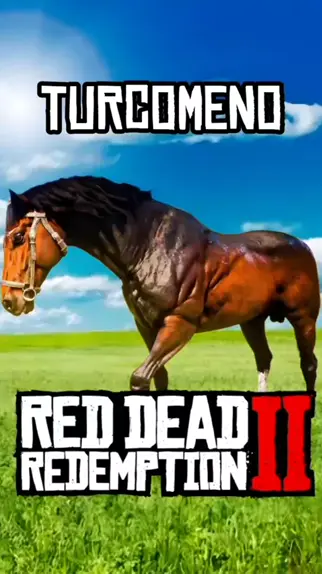 Red Dead Redemption 2 cavalo nokota ruano blue #reddead2