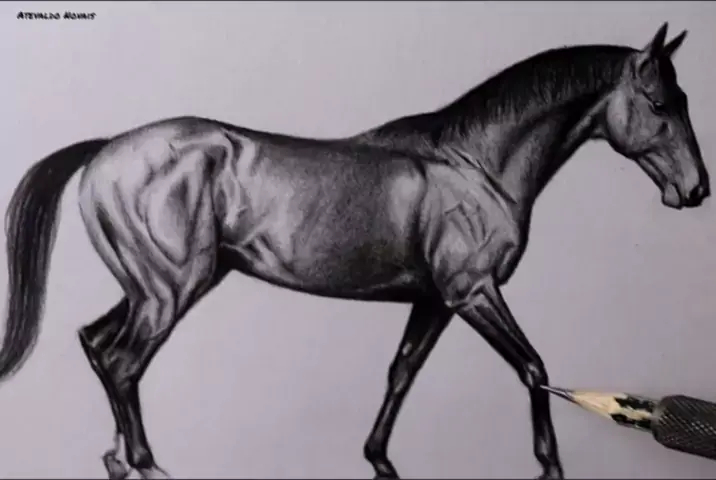 Arte Realista de Takiguthi: Desenho de cavalo em carvão executado