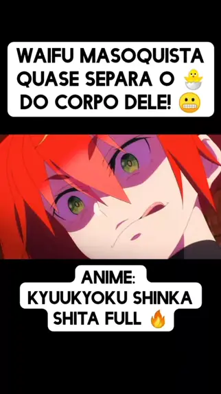 Kyuukyoku Shinka Shita Full Dive #animes