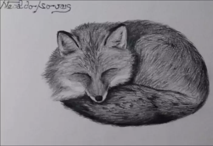 Como desenhar uma raposa #desenhosfaceislupedroso #raposa