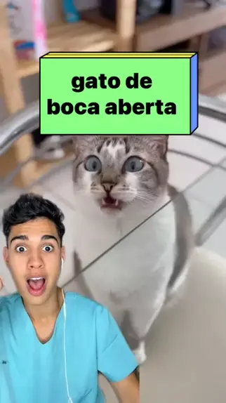 meme de risada com a boca aberta