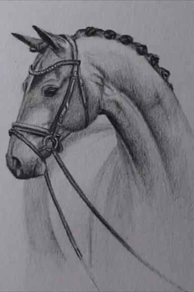 Desenhando Cavalo realista, #comodesenhar #desenho #arte #drawing