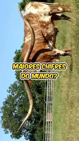 OS 5 MAIORES CACHORROS DO MUNDO! 