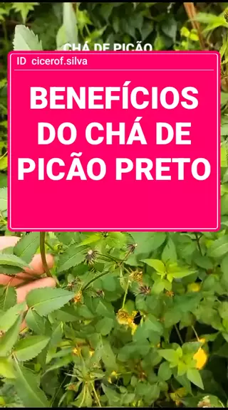 C CERO PLANTAS E FRUTOS Ciceroplantasefrutos . udio original criado por C CERO PLANTAS E FRUTOS