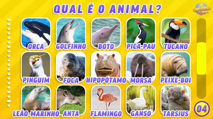 Você consegue adivinhar todos os animais? - TriviaCreator