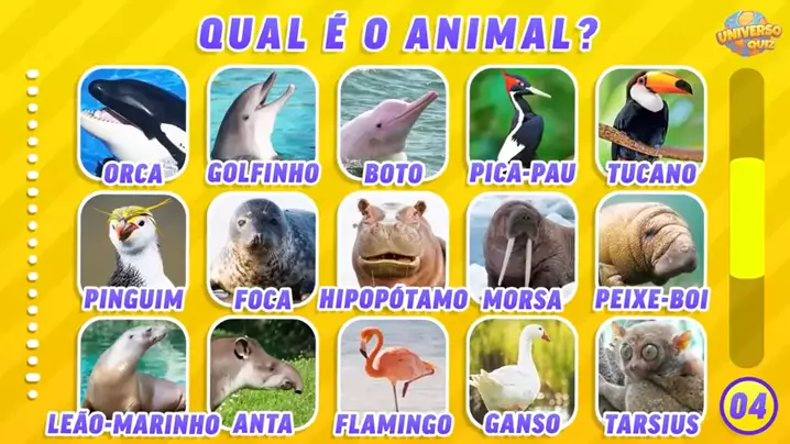 Qual é o nome desses animais? Adivinhe o animal #quiz #animal #animais