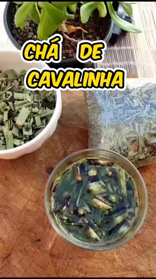 Receitas Da Mell Receitasdamel . Teus Sonhos. ch de cavalinha . cavalinha Cha benef cios Sa de dicas