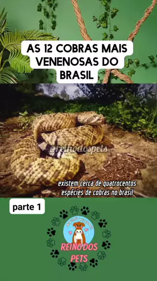 espécies de cobras venenosas no Brasil