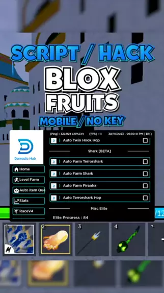 Gumawa Ako Ng Crew Sa Bloxfruit - Bstation