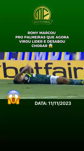 Palmeiras Online on X: SEGUE O LÍDER.💚🐷 #palmeiras