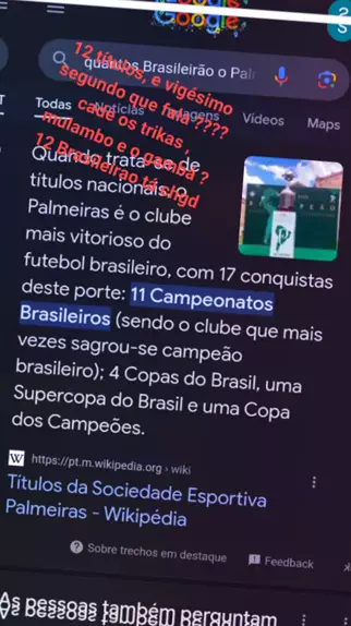 flamengo x palmeiras wikipedia