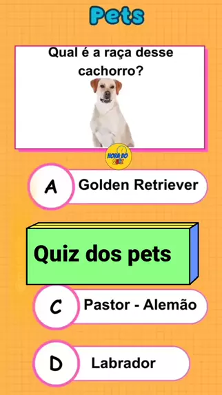 quiz golden retriever