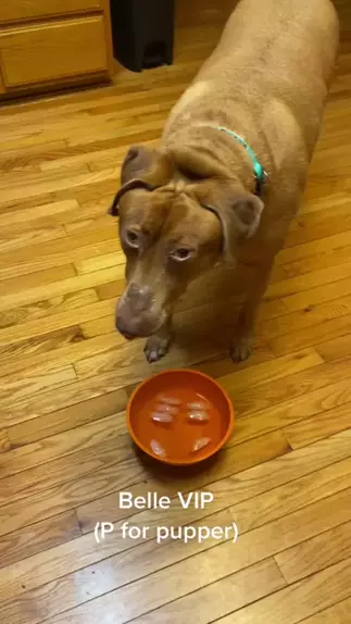 belleblondievip onlyfans | Discover