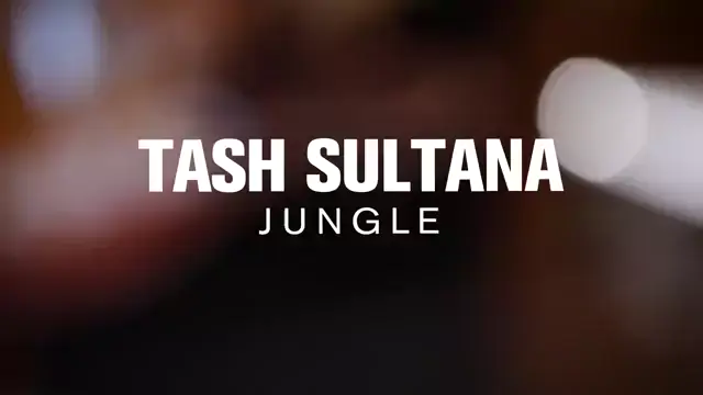 Tash Sultana - Jungle Lyrics