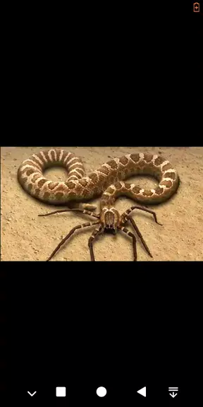 Os mais assustadores ataques de cobras - ISTOÉ Independente