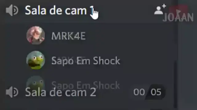 discord xcam