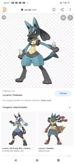 Shiny Mega-Lucario, Wiki