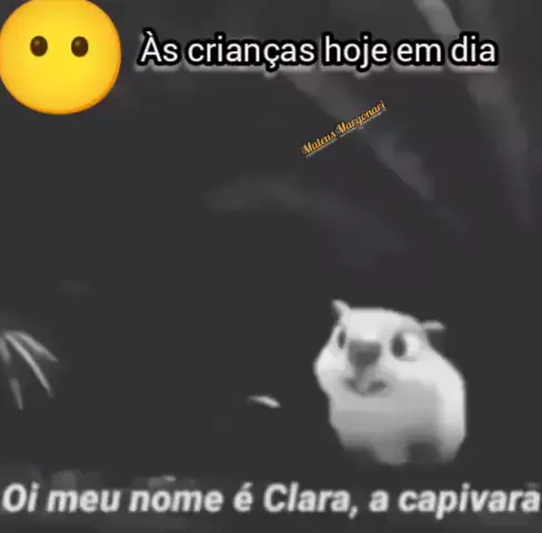 Oi meu nome é Clara capivara