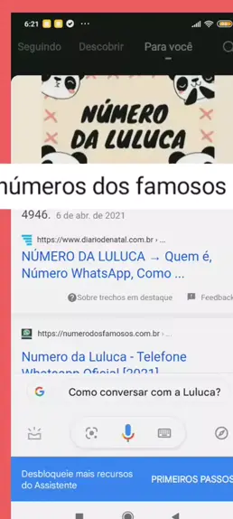 Número do WhatsApp da Luluca (2023)