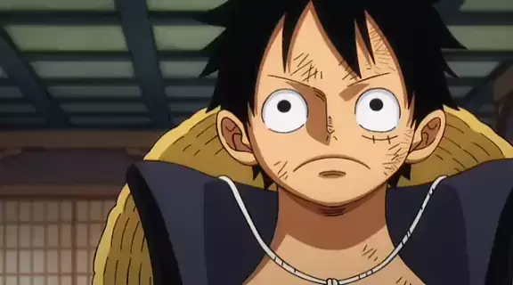 Quase todo dia o luffy estragando um plano diferente