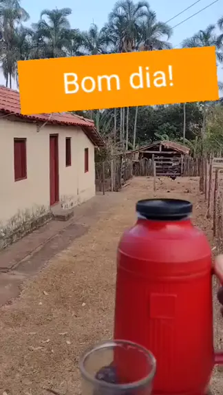 místicos online bom dia domingo