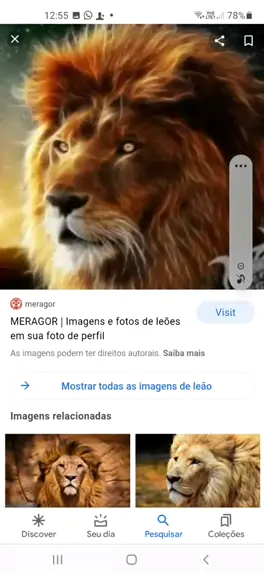 MERAGOR  Foto preta para foto de perfil