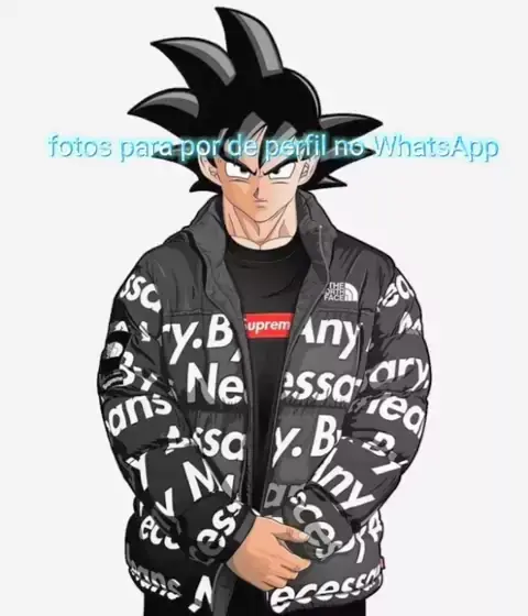 melhores fotos de anime da supreme para colocar no perfil 