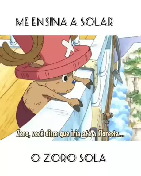 ZORO SOLA : r/AnimesBrasil