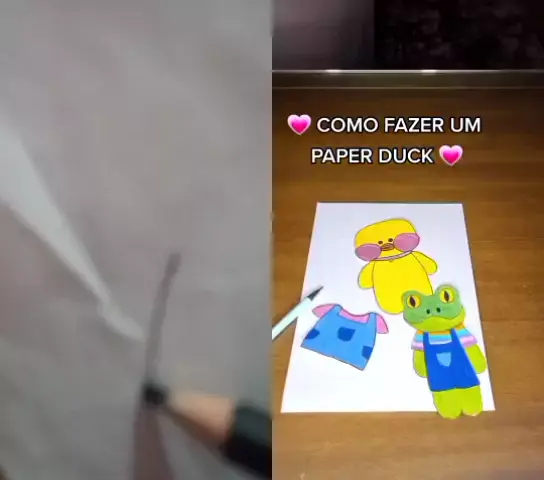 paper duck como fazer