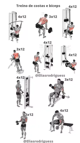 treino completo de costas para construção muscular