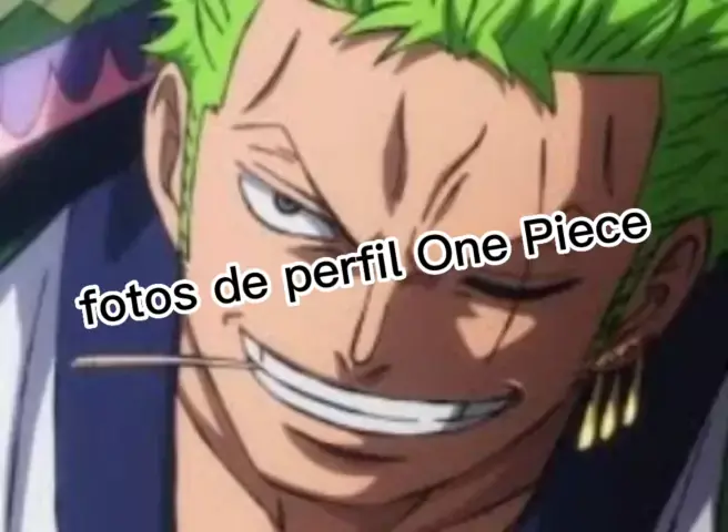 Perfil, Luffy, One Piece