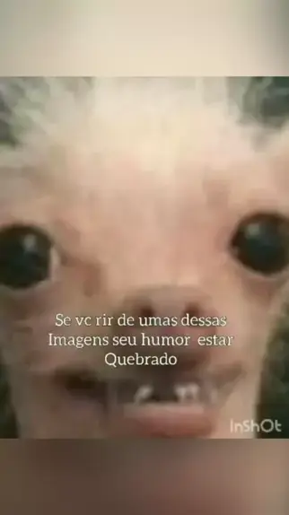 Videos Engraçados - Mijei de Tanto Rir on Tumblr