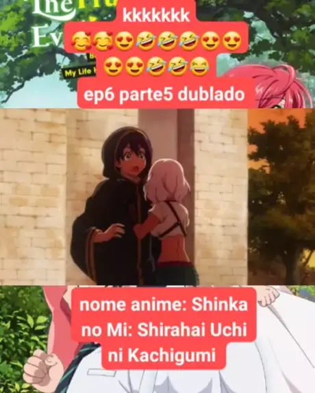 SHINKA NO MI DUBLADO 