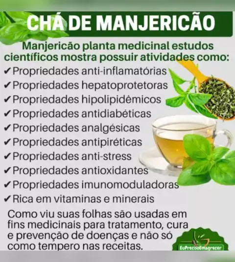 Val ria Mattos Sousa ValeriaMattos . udio original criado por Val ria Mattos Sousa. Benef cios do manjeric o saud vel ALIMENTA O natural remedioscaseiros