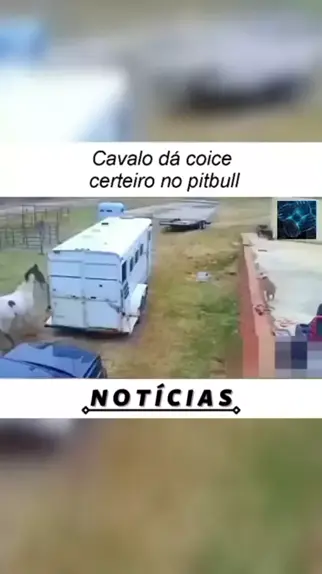 CAVALO BRAVO SAI PULANDO DANDO COICE NA CAVALGADA 