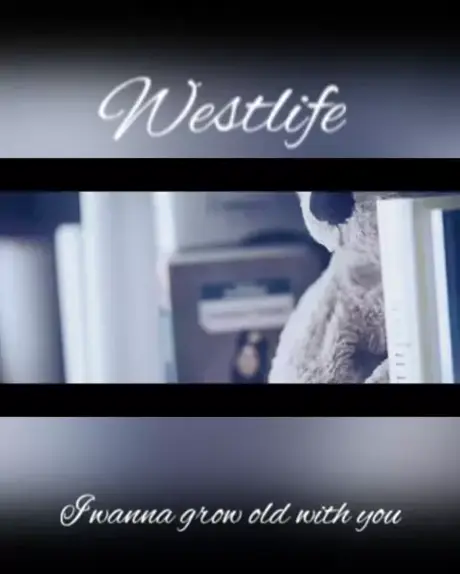 Westlife - I Wanna Grow Old With You (tradução) 