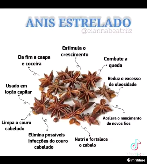 planta do anis estrelado Discover