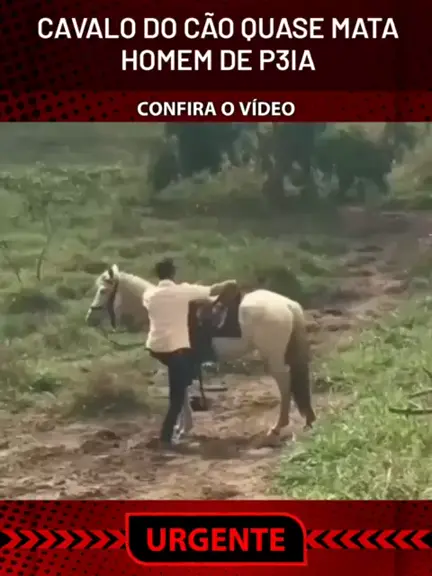 homem mata cavalo video