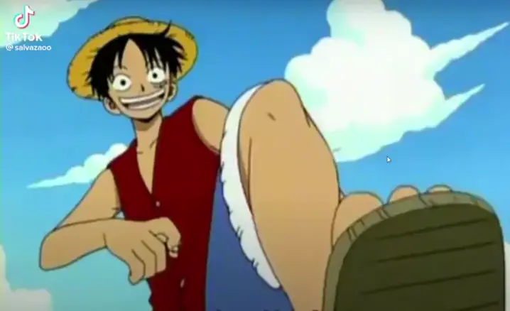 one piece traduzido em português