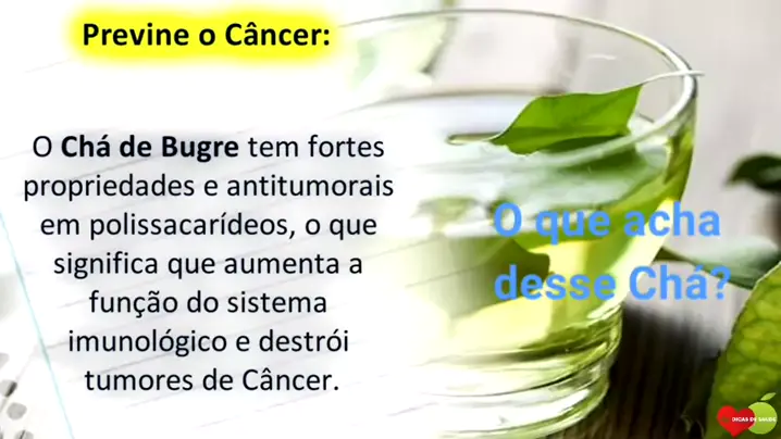 ch de bugre beneficios Discover