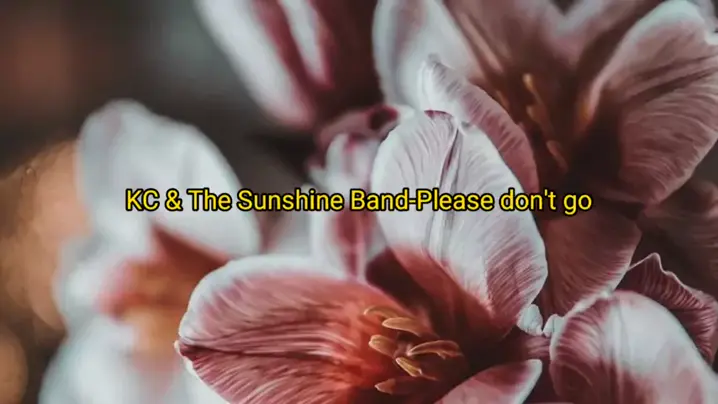 kcandsunshineband #PleaseDontGo #Tradução #Musica