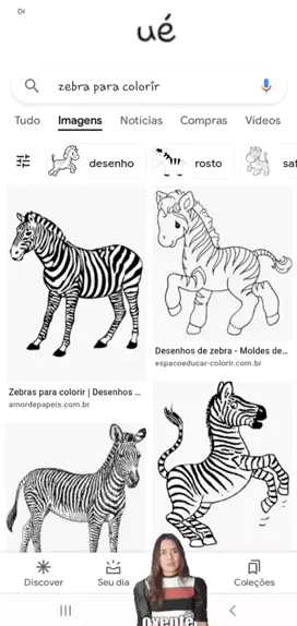 desenho de rosto de zebra