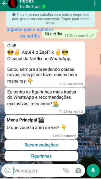 número da netflix whatsapp para figurinhas｜Pesquisa do TikTok